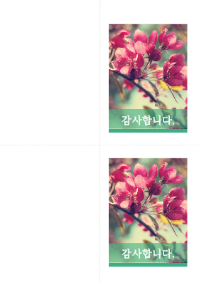 감사 카드 감사 카드
